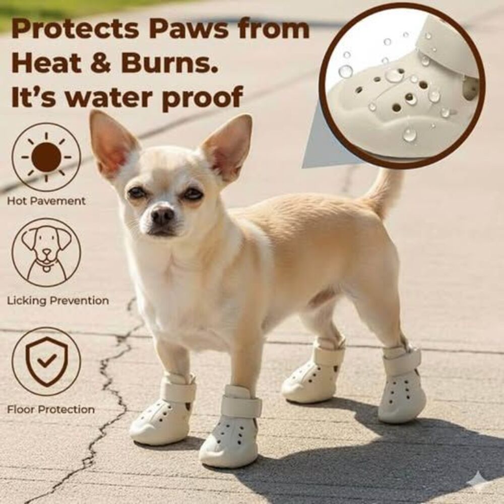 Dog Crocs Shoes - Size 3, Brand New!